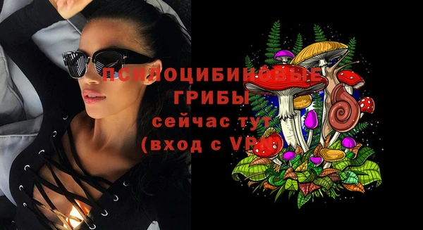 тгк Алексин