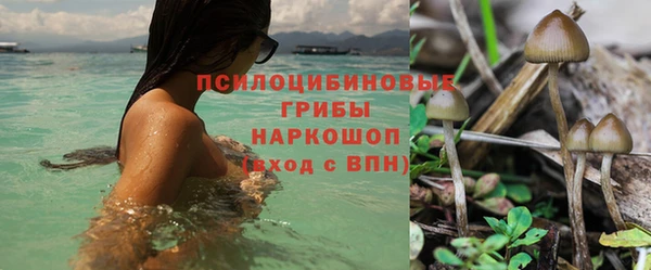 тгк Алексин